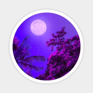 Moonlit Night Magnet